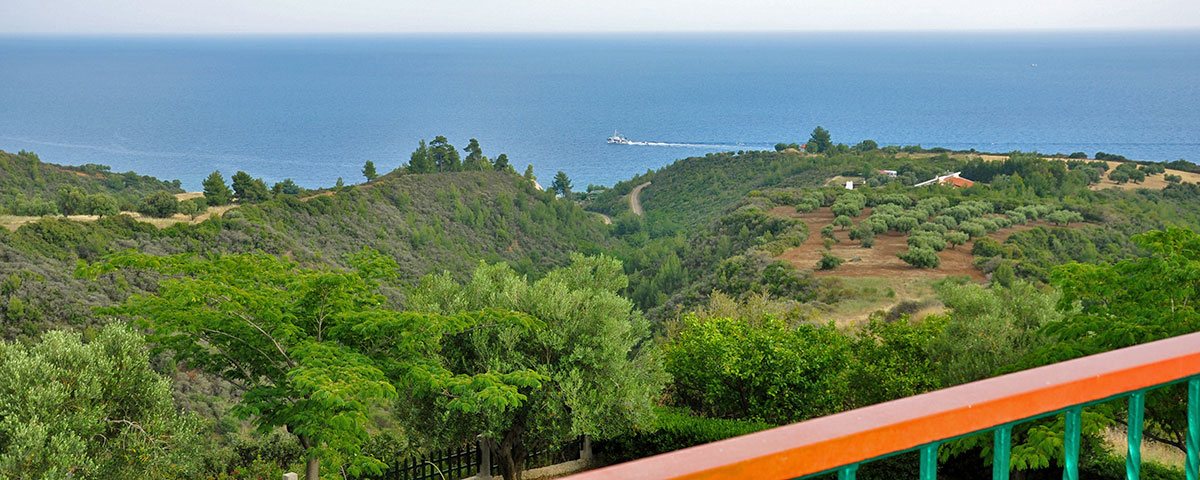 ARIS PENSION LOUTRA AGIA PARASKEVI HALKIDKI 9