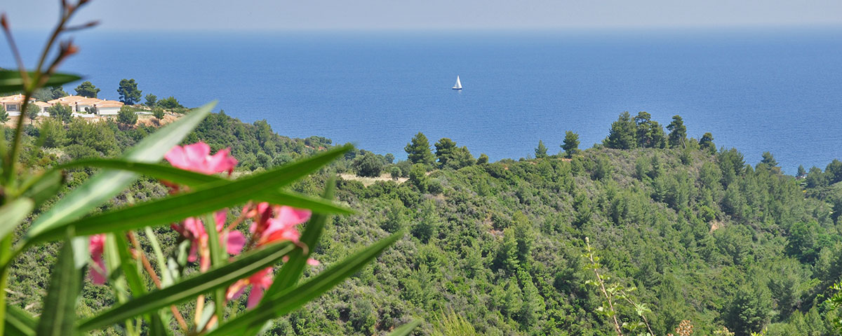 ARIS PENSION LOUTRA AGIA PARASKEVI HALKIDKI 10